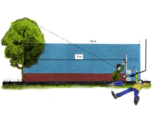 Comment mesurer la hauteur d'un arbre - Arboplus