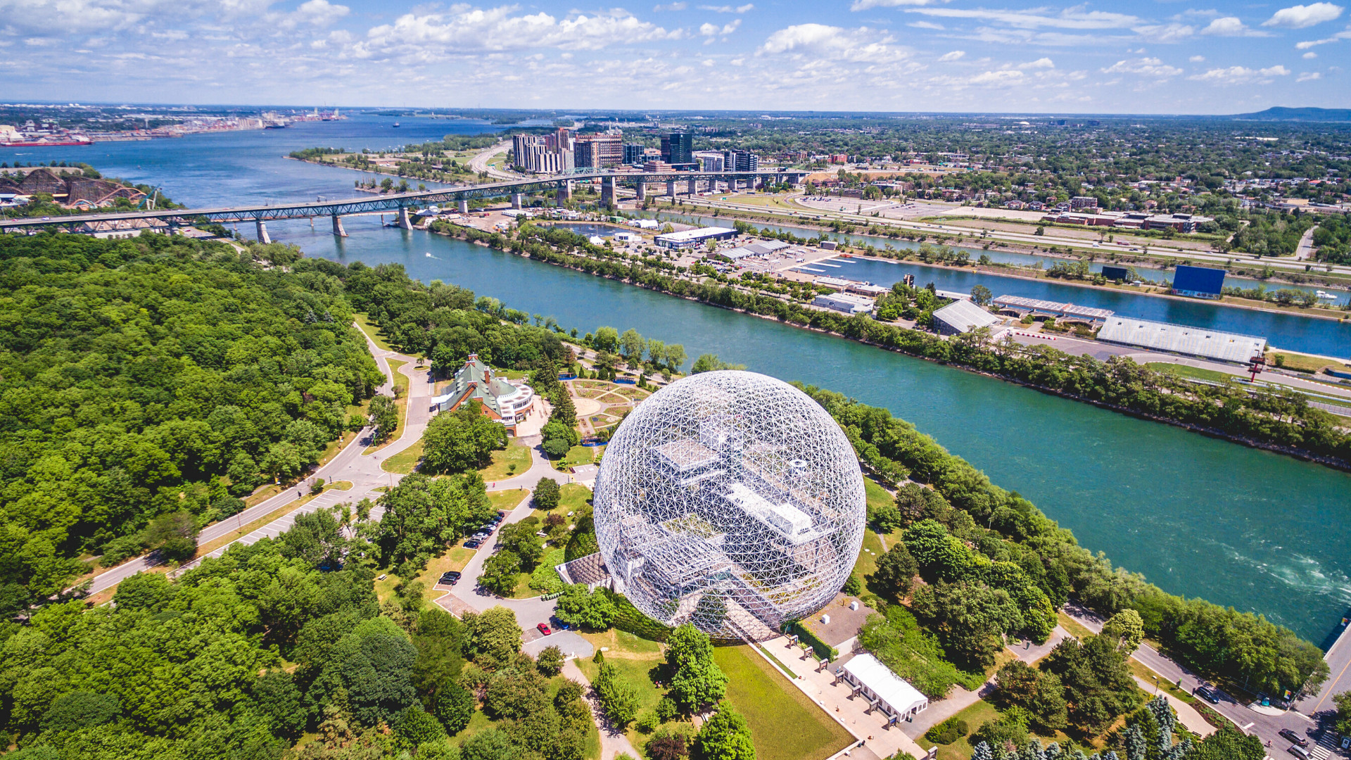 Les pandémies et la polyarboriculture à Montréal