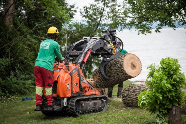 Chargeuse compacte sur chenille pour le déplacement du bois lourd