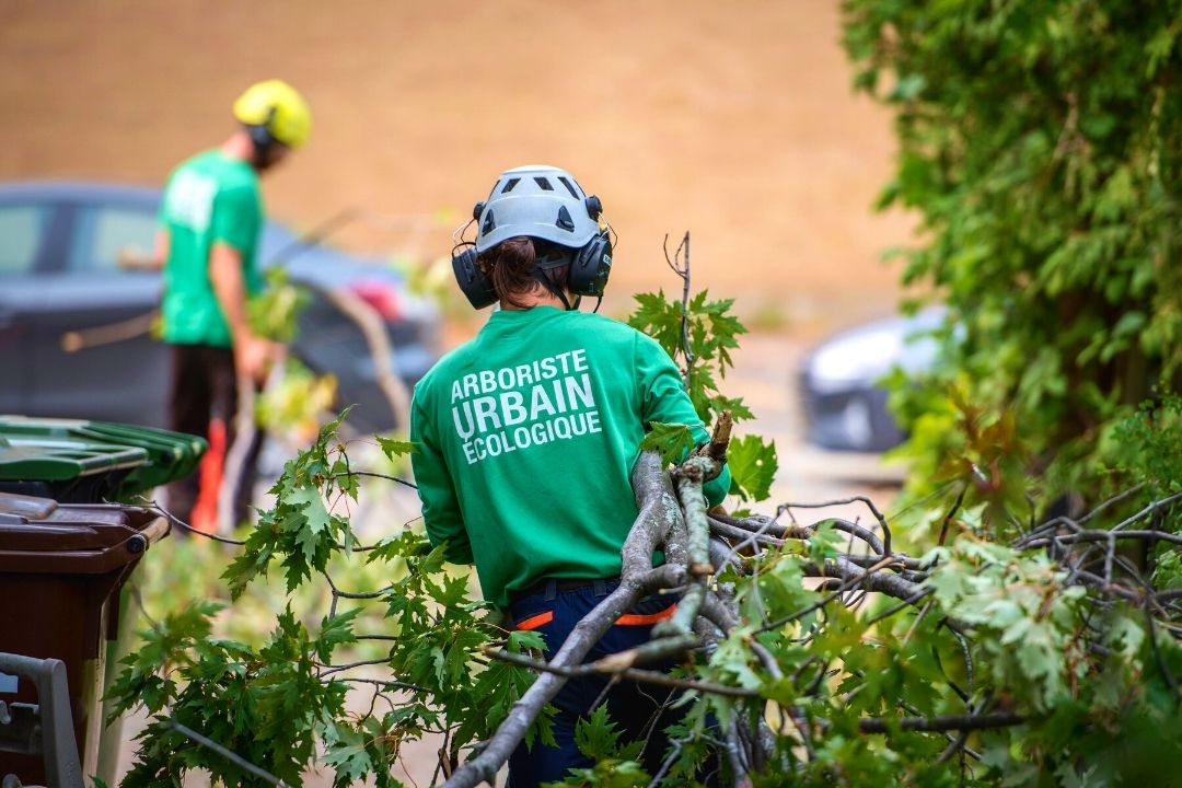 Ramassage des branches et nettoyage après travaux