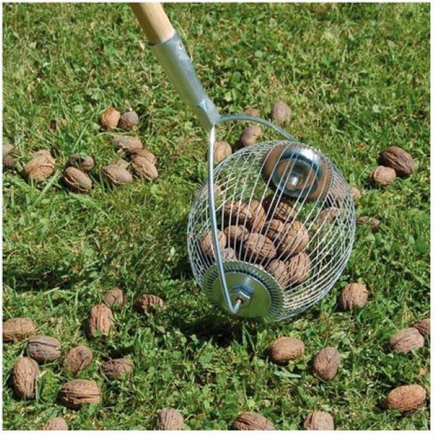 Ramasse-noix - Outil de jardinage pour arbres à noix