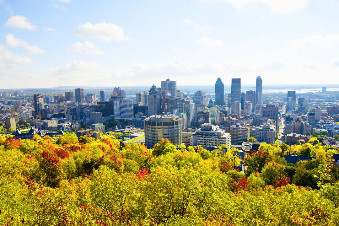 Vue du ciel de la canopée de Montréal - Québec, Canada