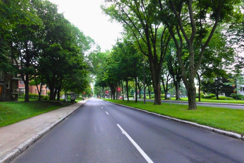 Rue parsemée d'arbres matures - Laval, Québec