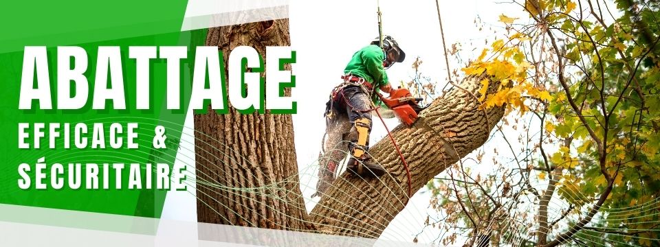 Abattage d'arbre au Québec - Service d'abattage d'arbre