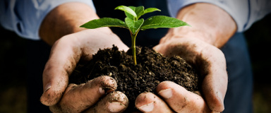 Initiative écologique Laval - Biodiversité - Écologie urbaine Initiative écologique Laval - Biodiversité - Écologie urbaine