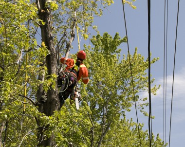 Quand appeler Hydro-Québec?