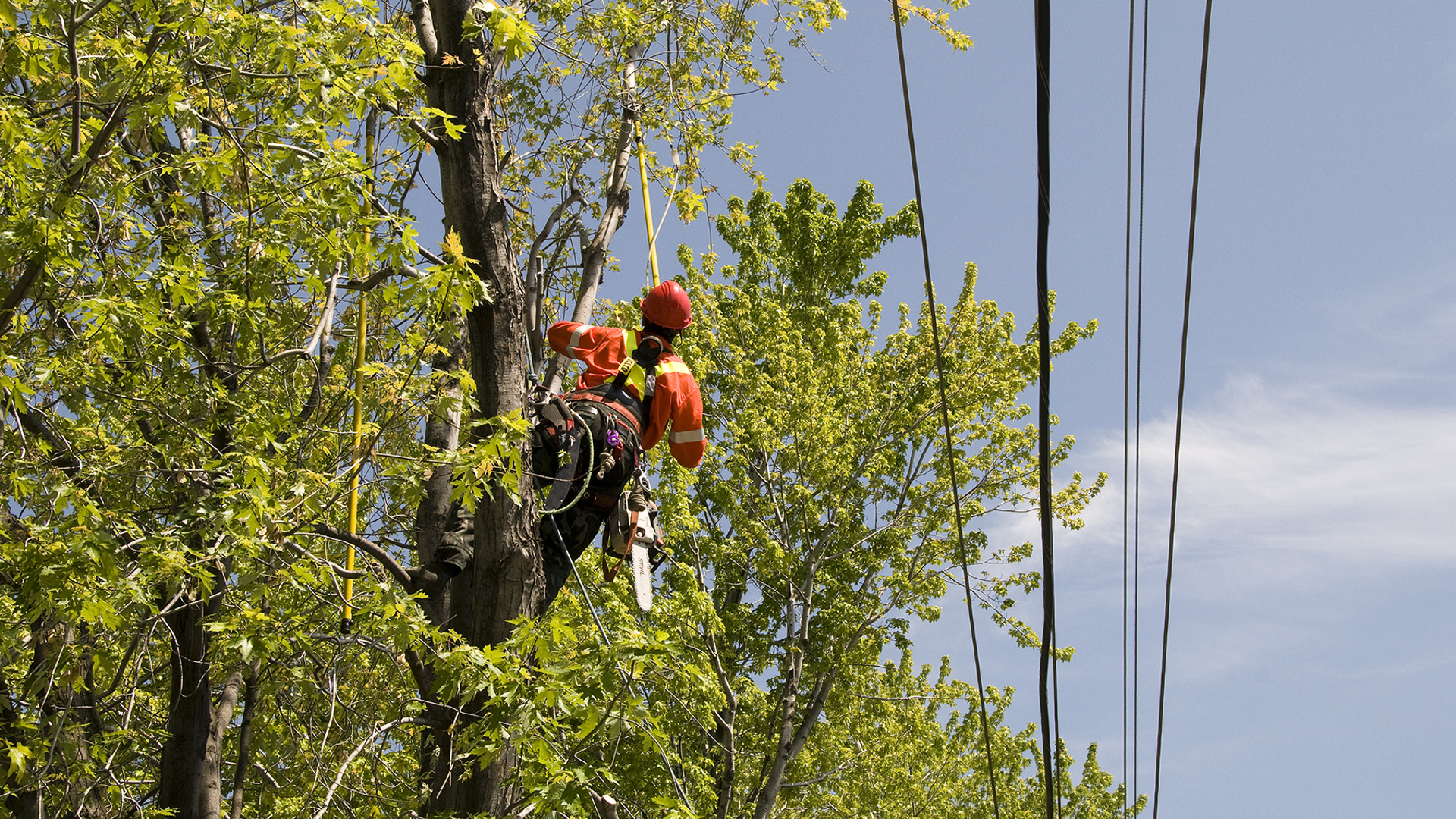 Quand appeler Hydro-Québec?