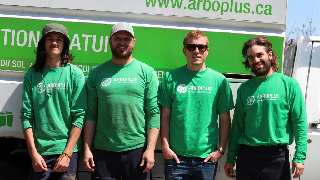 À propos d'Arboplus - Entreprise arboricole