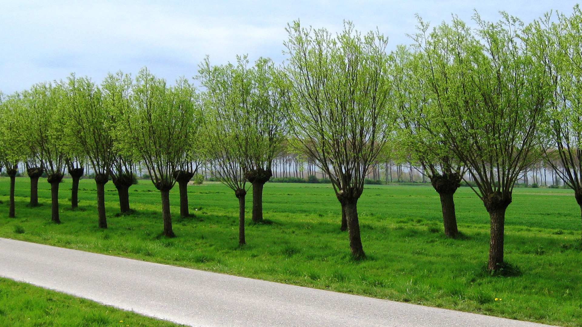 Détecter un problème dans mon arbre