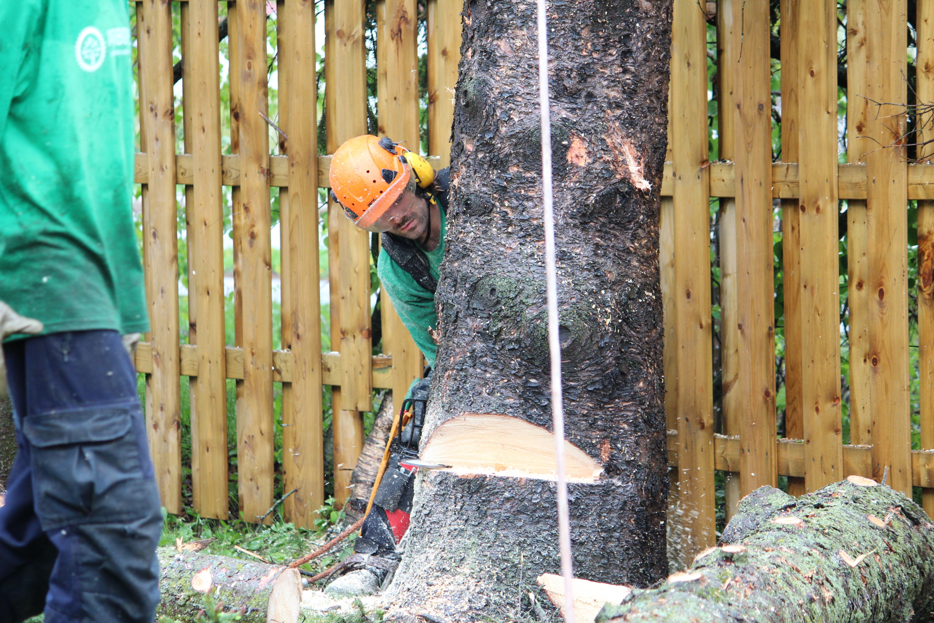 Comment couper un arbre - Comment abattre un arbre