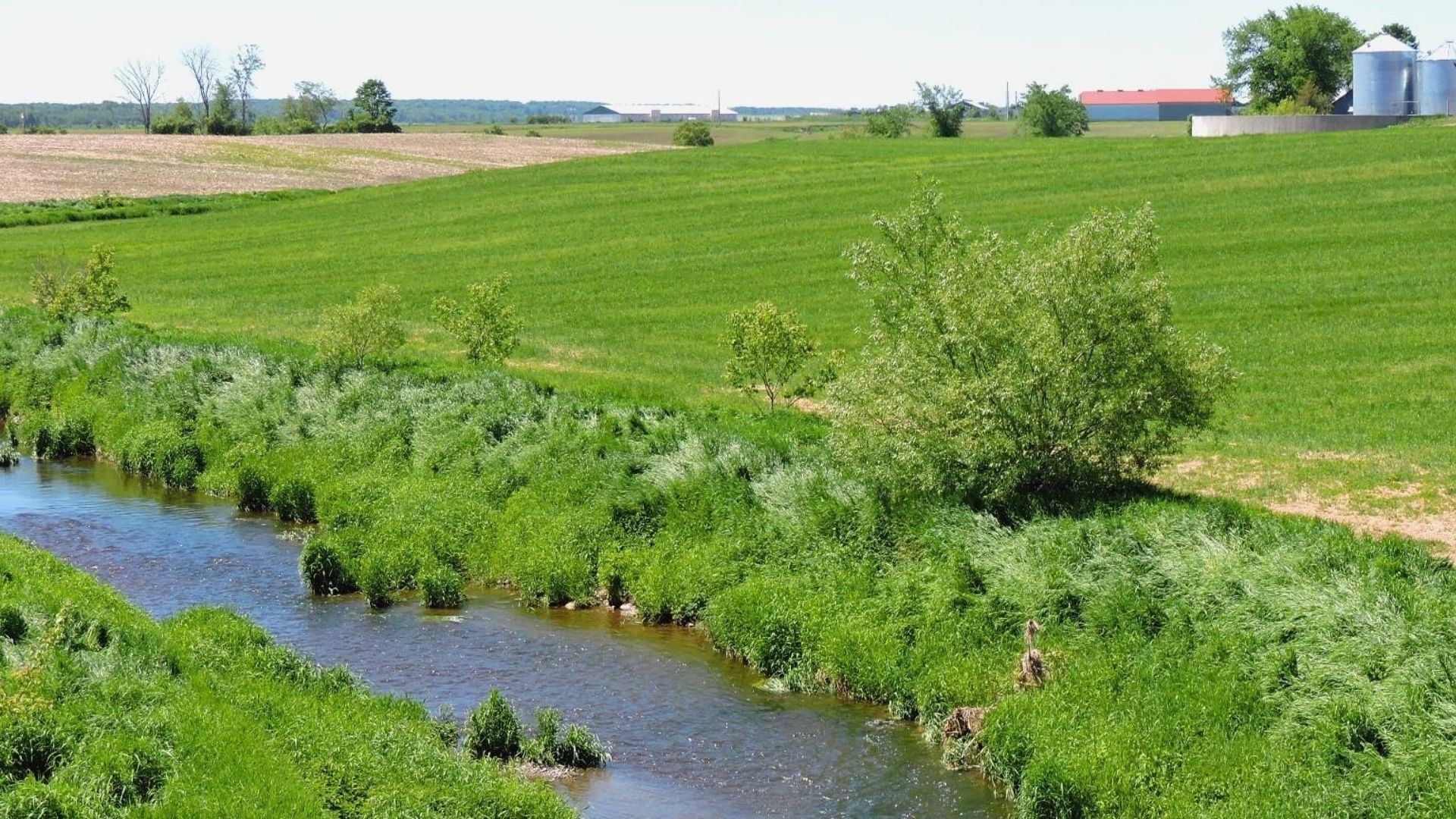 Bande riveraine