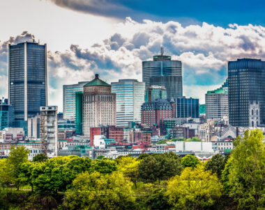 Les pandémies et la polyarboriculture à Montréal