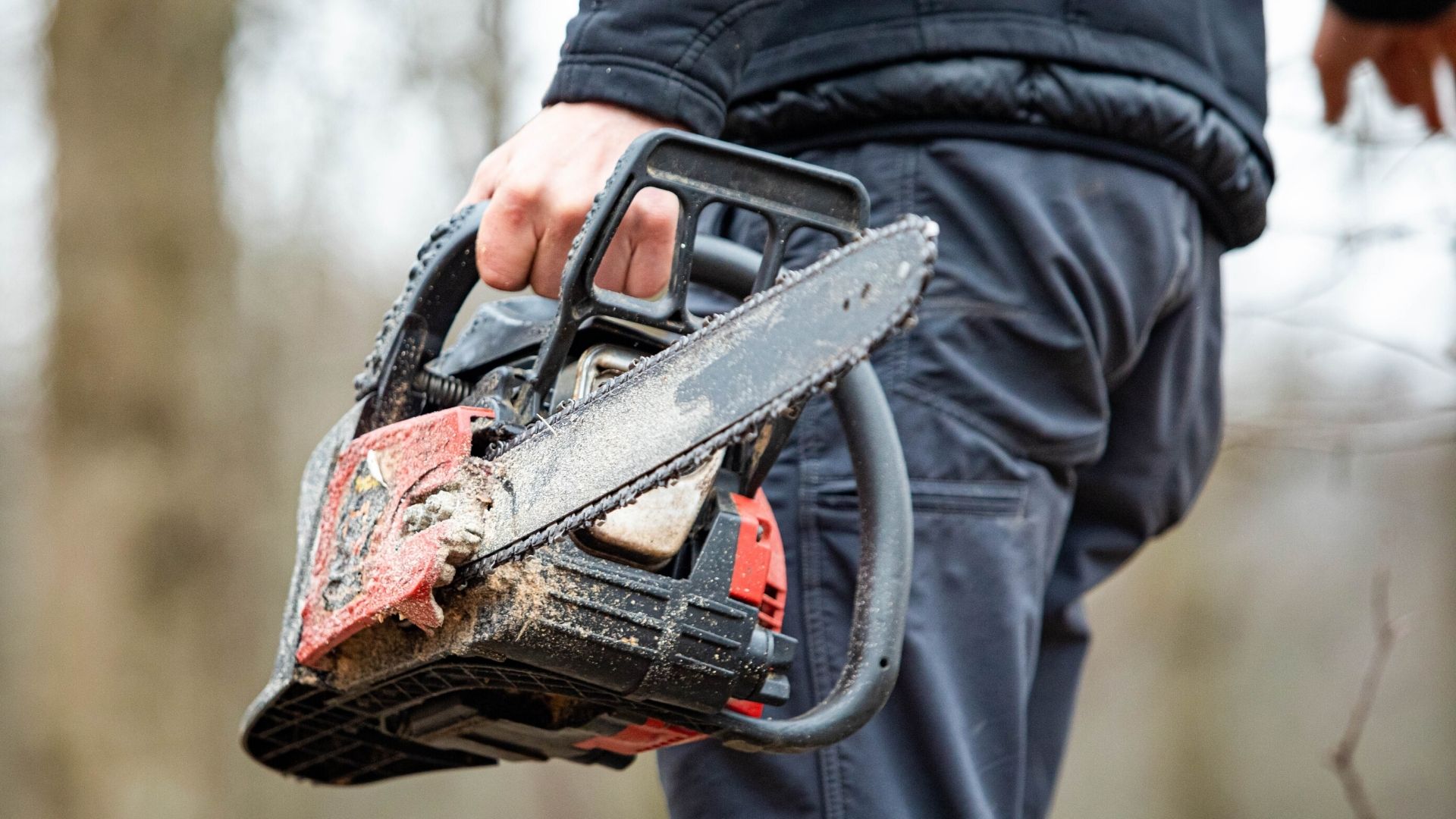 Le travail au noir et l’arboriculture