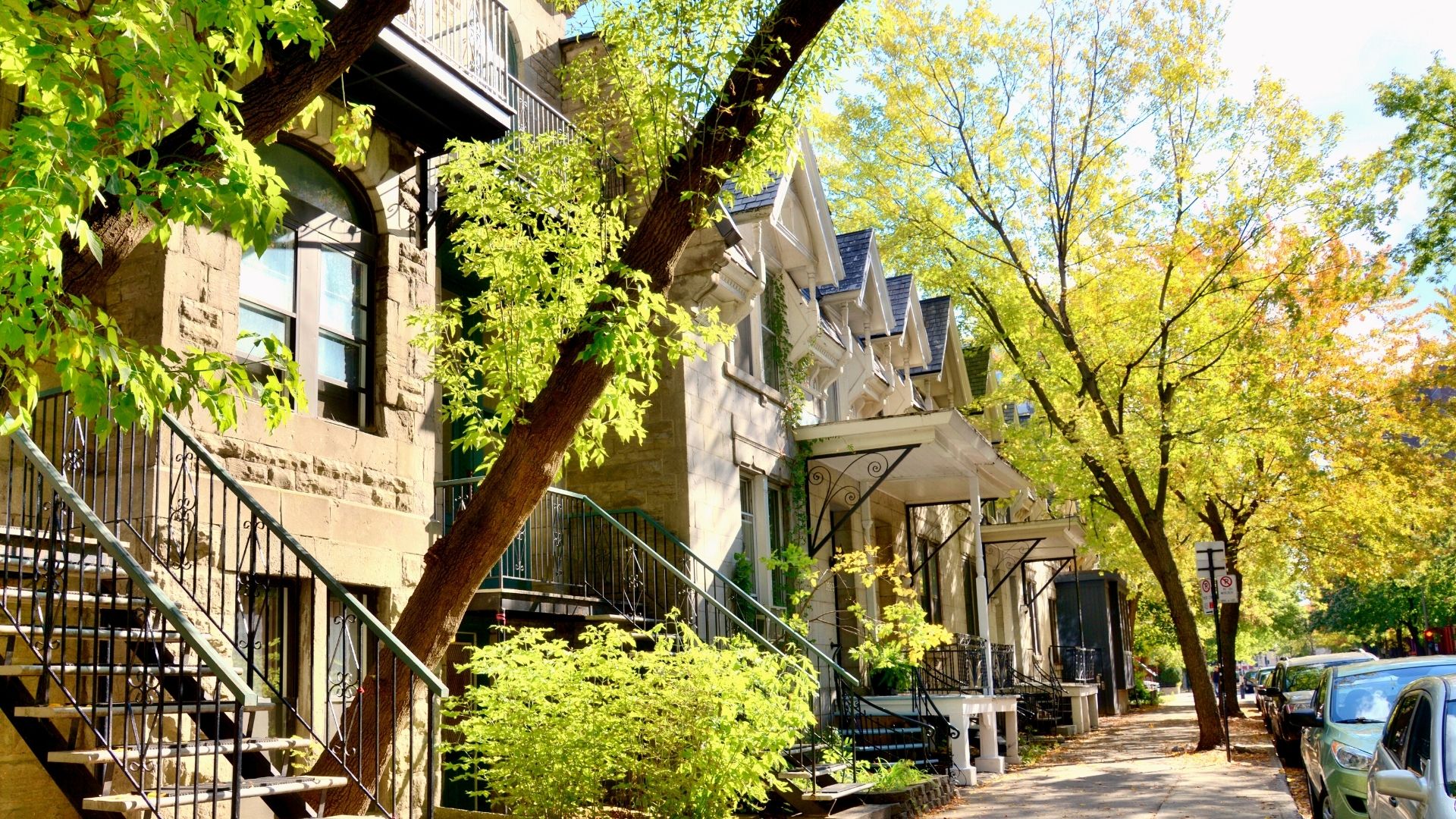 Une rue de Montréal parsemée d'arbres matures