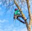Arboriculteur du Québec certifié par la SIAQ