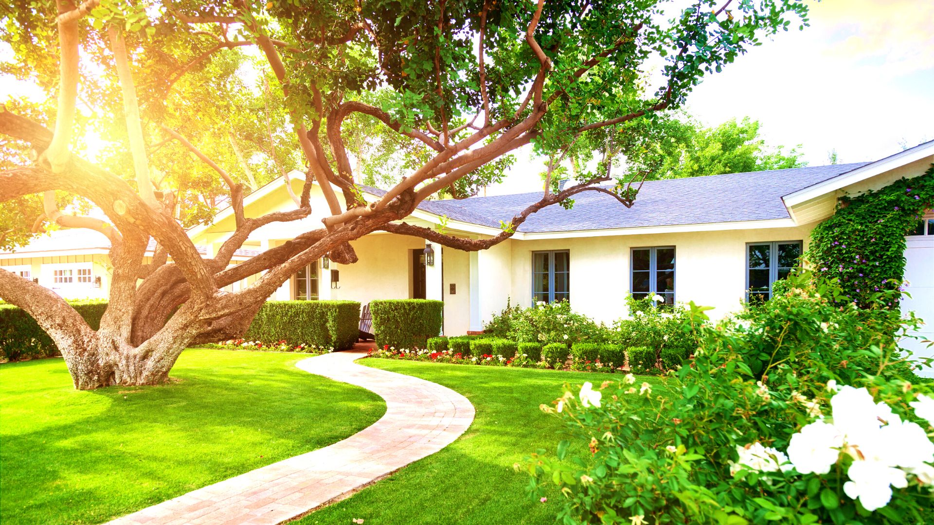 Arboriculture et immobilier cultivez la valeur de votre propriété