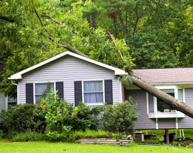 Sinistre relié aux arbres - un arbre tombe sur une maison