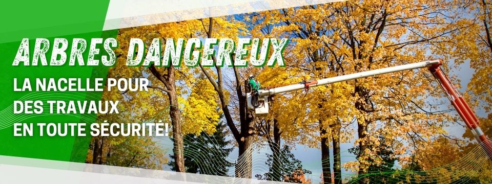 Abattage d'arbre au Québec - Service d'abattage d'arbre