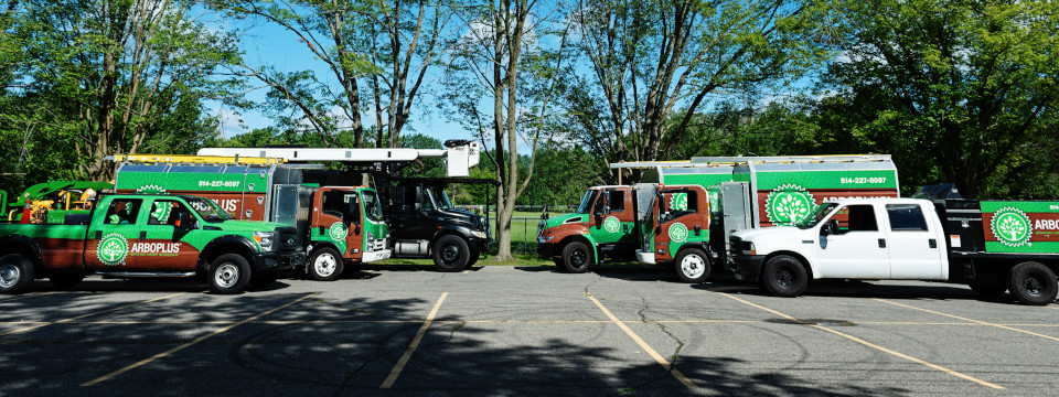 Arboriculture Equipment, Trucks and Machinery – Climbing Arborist