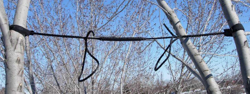 Dynamic Tree Cabling & Bracing System in Quebec