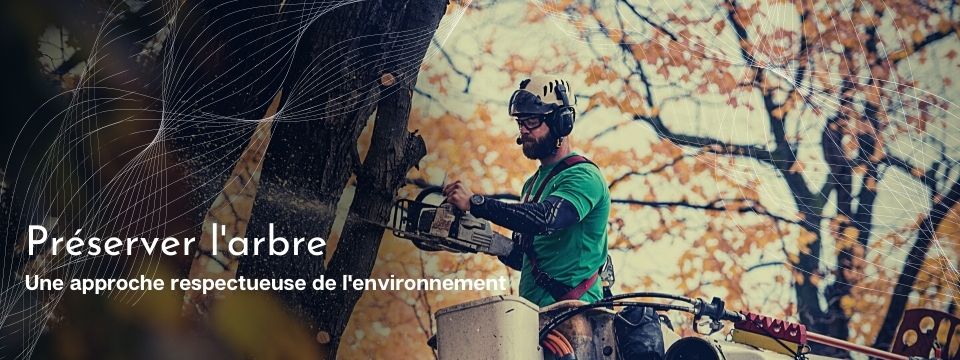 Élagage d'arbre au Québec - Élagueurs grimpeurs