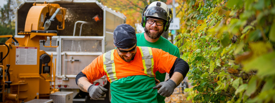 Emploi en arboriculture au Québec