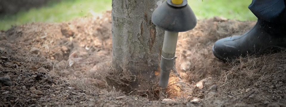 Excavation du collet racinaire - AirSpade au Québec