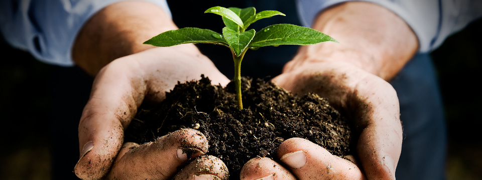 Compost au Québec - Compostage - Composteur - Vermicompostage