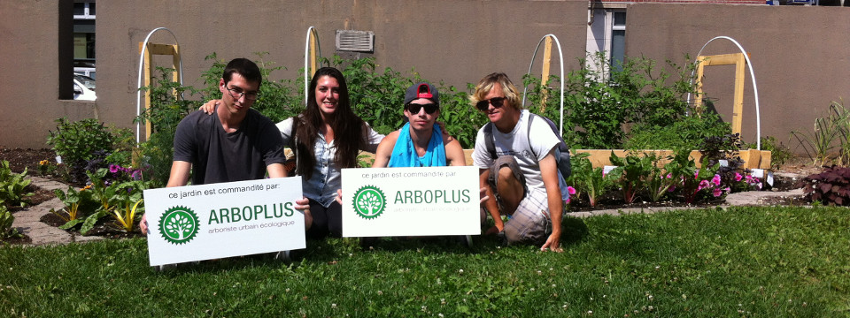 Social Responsibility in Arboriculture – Stewardship of Creation