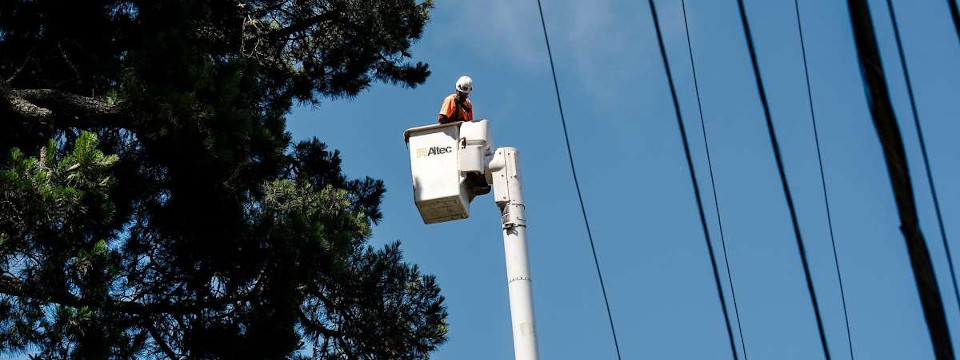 Tree Pruning near Power Lines - Hydro-Québec Authorized Arborists