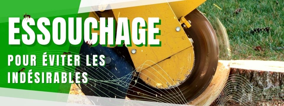 Tree Stump Grinding in Quebec - Professional Stump Removal